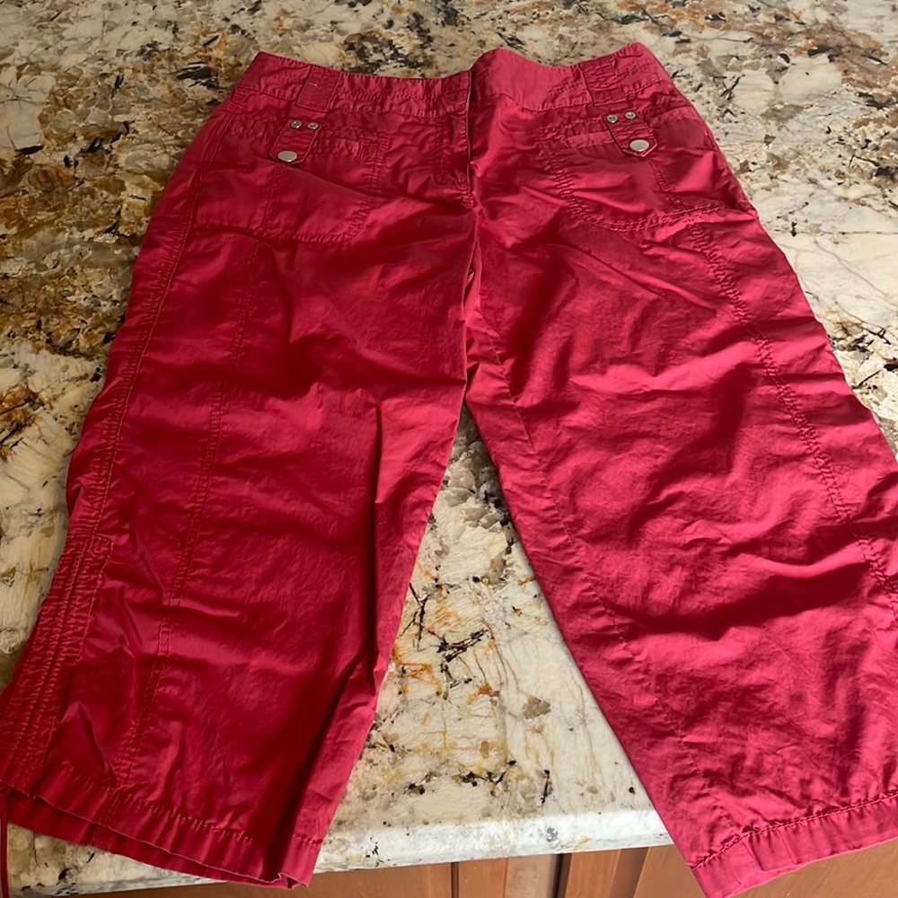Loft brand salmon pink pants